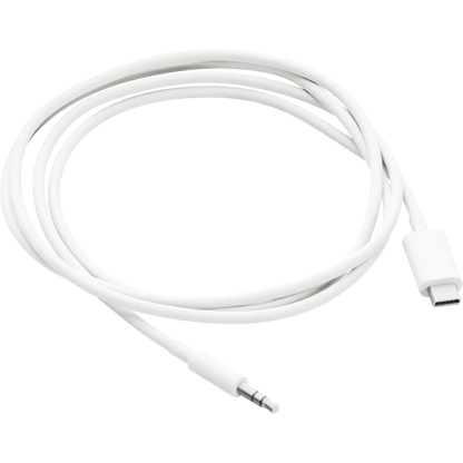 Sonos Ace Aux Cable